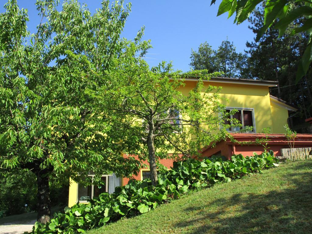 Casa Balducci Bed&Breakfast Mercatello sul Metauro Exterior foto
