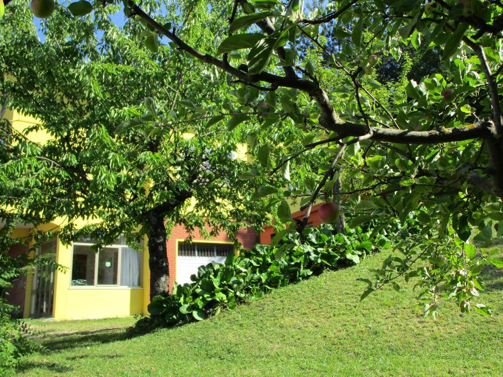 Casa Balducci Bed&Breakfast Mercatello sul Metauro Exterior foto