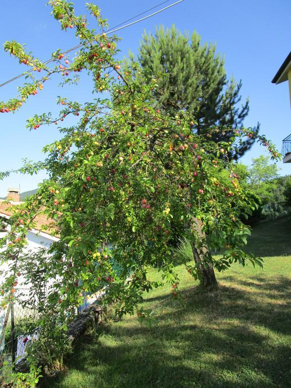 Casa Balducci Bed&Breakfast Mercatello sul Metauro Exterior foto
